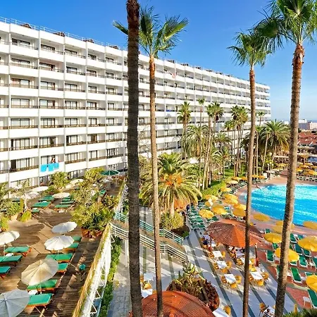 Bull Eugenia Victoria &